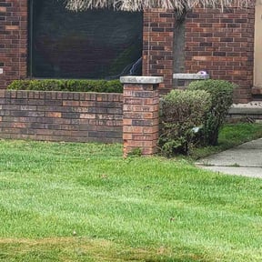 Bush Trimming by M&M Lawn Service reviewed on August 15, 2025