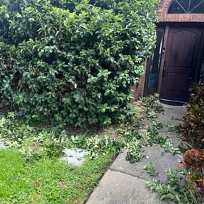 Bush Trimming by MB Williams Lawn Care Services reviewed on August 15, 2025