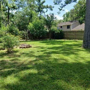 turf maintenance by Harry&#039;s Champion Landscaping reviewed on August 21, 2025