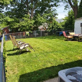 turf care by New Life Lawn Care LLC reviewed on August 19, 2025