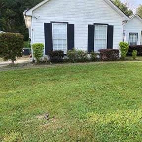Bush Trimming by Rios Enterprise Lawn Mowing Services LLC reviewed on August 18, 2025