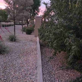 Bush Trimming by C&amp;S Lawn Services reviewed on April 22, 2026