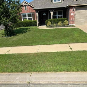 yard maintenance by The Lawn Guy reviewed on August 15, 2025