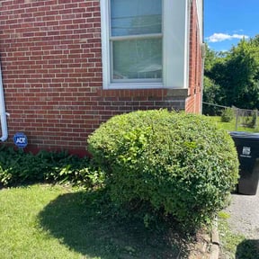 Flower Bed Weeding by A-Z Land Care reviewed on July 30, 2026