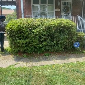 Bush Trimming by Andersen landscaping & Design reviewed on August 20, 2025