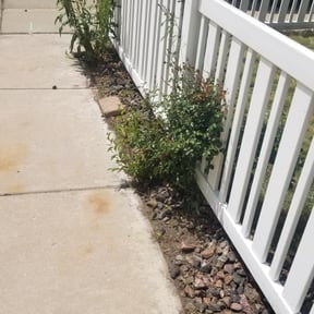 Leaf Removal by LuvYourLawn reviewed on September 6, 2025