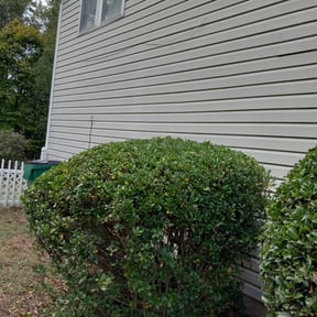 Bush Trimming by Nature&#039;s Touch reviewed on September 30, 2024