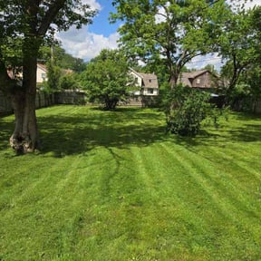 yard service by Mr Lawn Service reviewed on May 6, 2024