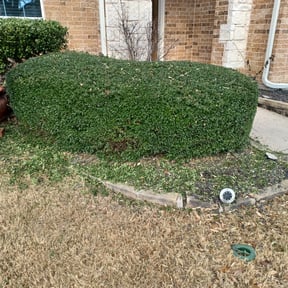 Bush Trimming by DW Lawn Care & Landscaping reviewed on August 20, 2025