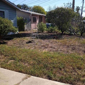 Bush Trimming by C&h lawn care reviewed on August 17, 2025