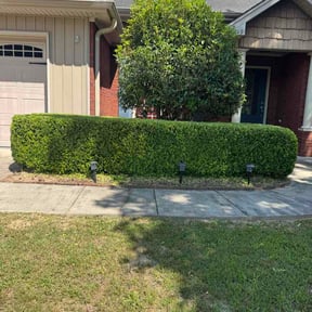 Bush Trimming by 253 lawn Services reviewed on July 15, 2026