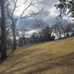 Bush Trimming by Green Thumb Agostini Lawn Care and Landscaping reviewed on March 5, 2026