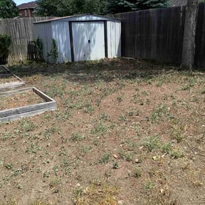 Leaf Removal by Nahum Construction LLC reviewed on July 8, 2026
