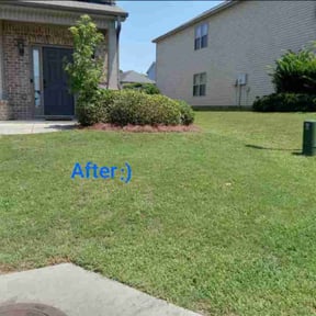 Bush Trimming by Walkers Landscape and Lawncare services reviewed on August 17, 2025