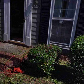Bush Trimming by REMAVAIL PRO LAWN reviewed on April 17, 2026