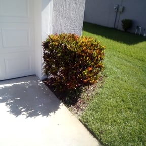 Bush Trimming by MPV Landscaping reviewed on August 18, 2025