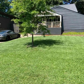 yard service by K.I.S.S. lawn care reviewed on August 19, 2025