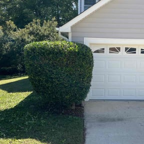 Bush Trimming by J&amp;M Landscaping reviewed on December 11, 2025