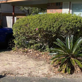Bush Trimming by Jm landscape reviewed on August 17, 2025