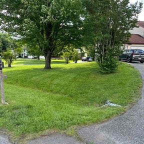 gardening service by Tonys Landscaping LLC reviewed on August 19, 2025