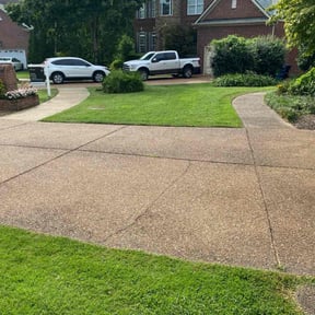 gardening service by FoggaNation’s Divine Lawn Care reviewed on August 16, 2025
