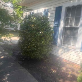 Bush Trimming by JD Landscaping reviewed on April 24, 2026