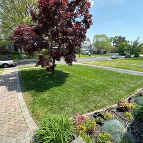 grass maintenance by The Lawn Barber reviewed on May 23, 2025