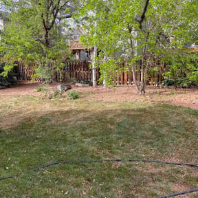 Leaf Removal by YTB reviewed on April 10, 2026