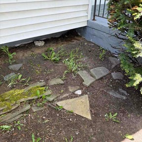 Leaf Removal by Done Right Handyman Services LLC. reviewed on June 7, 2026