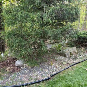 Bush Trimming by A - Z Mowing reviewed on May 6, 2026