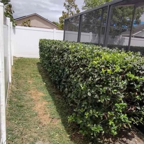 Bush Trimming by J & J Landscaping reviewed on August 19, 2025