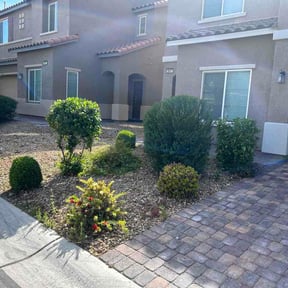Bush Trimming by SB ELITE  LAWN CARE SERVICES LLC reviewed on April 8, 2026