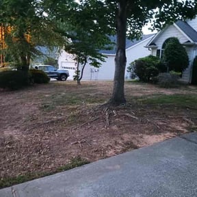 Leaf Removal by Always Best Solutions LLC reviewed on September 25, 2025