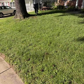 Leaf Removal by Devin landscaping reviewed on August 25, 2026
