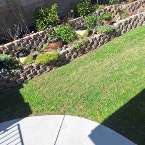 landscaping by Lipscomb mowing reviewed on September 25, 2023