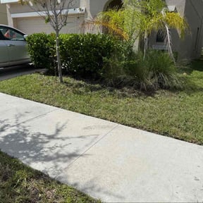 Bush Trimming by KevnLori Professional Lawn Care LLC reviewed on October 19, 2025