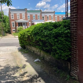 Bush Trimming by Moncuin Creek Lawn Care LLC reviewed on August 16, 2025