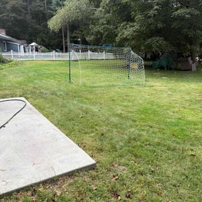 Bush Trimming by Michael McDaniel reviewed on June 8, 2022