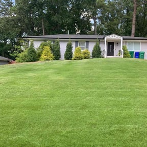 yard care by Verns Lawncare LLC reviewed on November 21, 2025