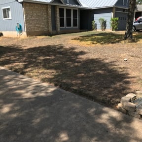 Leaf Removal by Trendy Lawn Care LLC reviewed on September 13, 2025