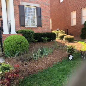 Bush Trimming by New World Lawn Care LLC reviewed on August 21, 2025