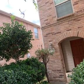 Bush Trimming by Sliced Lawn Care LLC reviewed on August 21, 2025