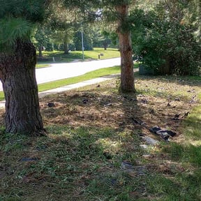 Flower Bed Weeding by Toro Verde Lawns reviewed on August 20, 2025