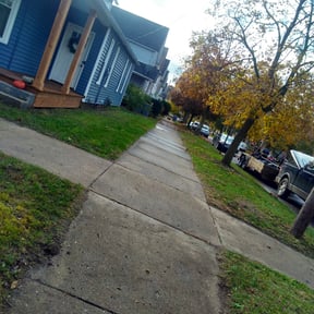 Leaf Removal by Tylik Services reviewed on September 13, 2025