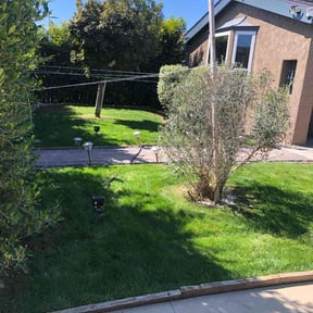 lawn care by Forever Green FG LLC reviewed on September 10, 2024