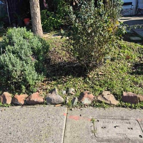 Bush Trimming by D&amp;L Landscaping reviewed on October 16, 2026
