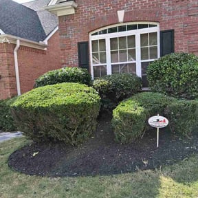 Bush Trimming by Exclusive landscaping reviewed on July 2, 2026