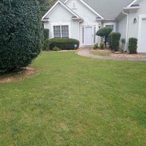 Bush Trimming by Clean Green Lawn Care reviewed on August 21, 2025