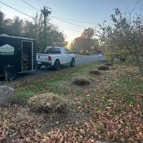 Bush Trimming by ZKS Lawn Service reviewed on November 20, 2025