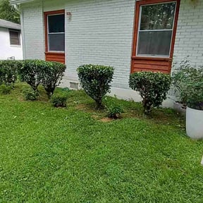 Bush Trimming by Tucker Enterprises reviewed on August 21, 2025
